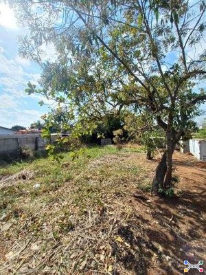 PARTE IDEAL DE 50% DO LOTE URBANO Nº 01 DO LOTEAMENTO JARDIM NOSSA SENHORA APARECIDA II CORRESPONDENTE A 392,00M² SEM BENFEITORIAS ¿ SALTINHO/SP