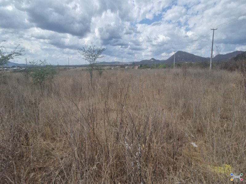 Lote, residencial, são cristovão