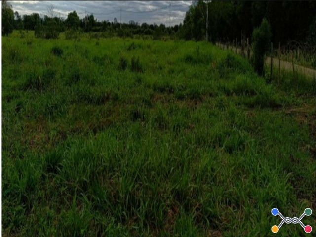 Lote a.t.55.448,44 m² - campos dos goytacazes/rj