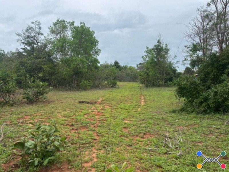 Fazenda, rural, rural