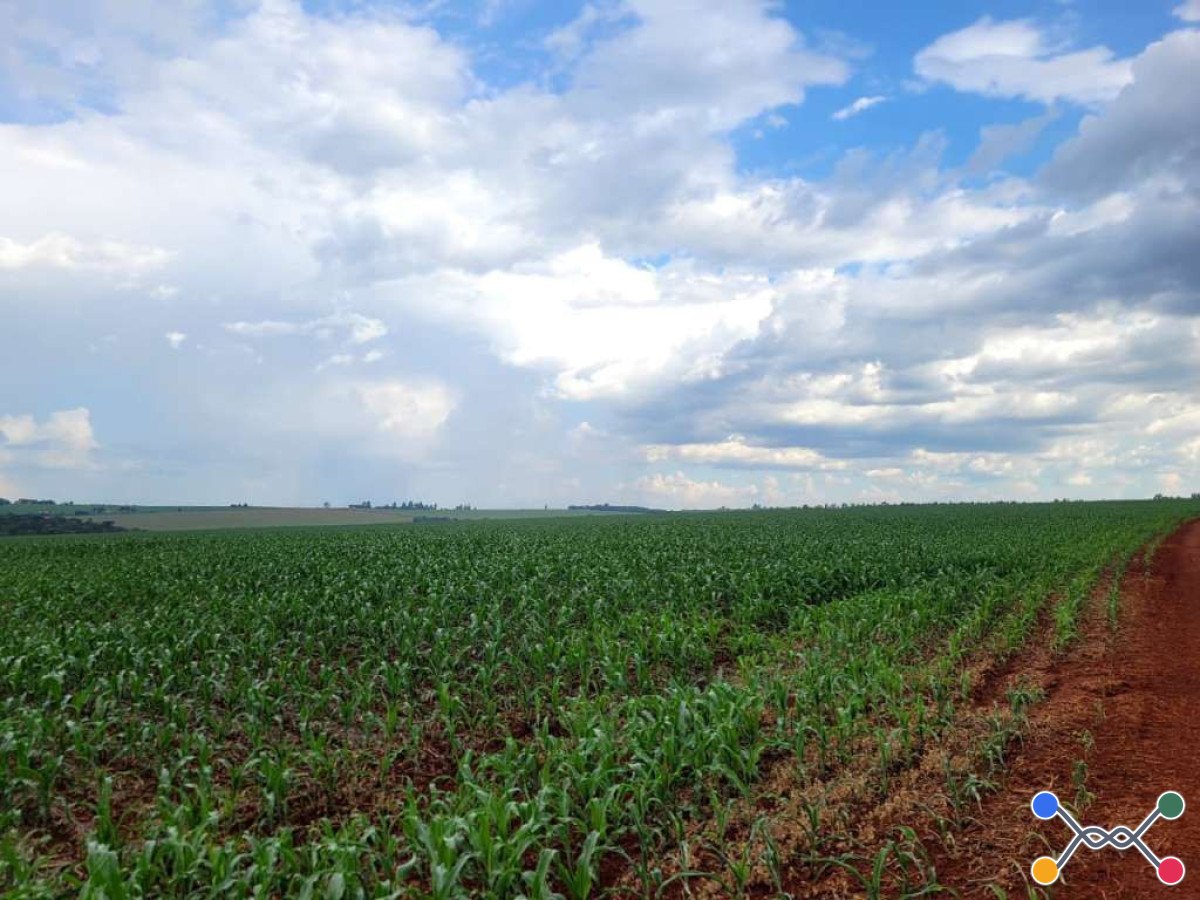 Imóvel rural - área de 6.725.615,00m² - fazenda piquiri - cascavel/pr