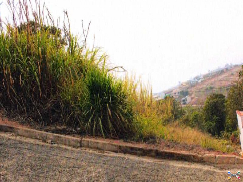 Lote, residencial, loteamento larez