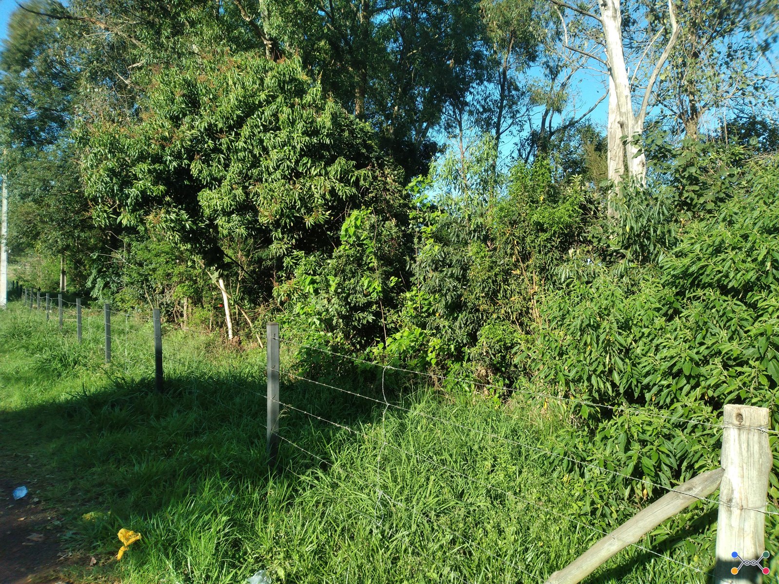 52 lotes, 27.837m² no bairro são gabriel em capitão leônidas marques/pr - desocupado!
