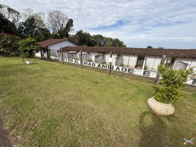 Lote 001-3