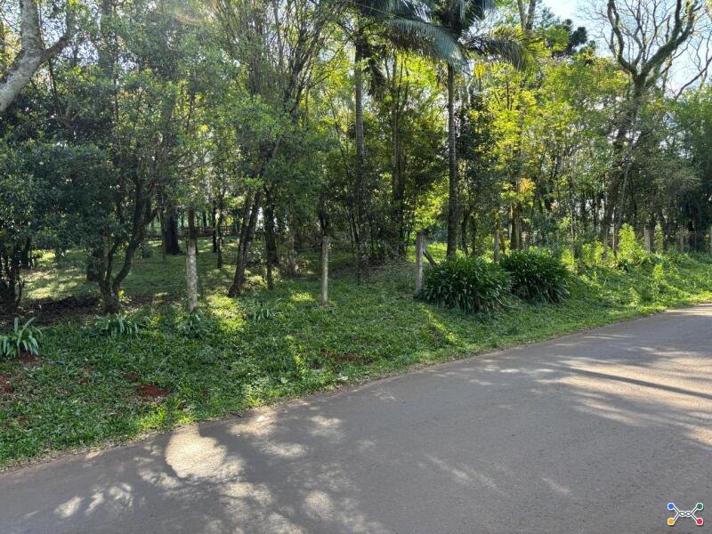 Lote 003