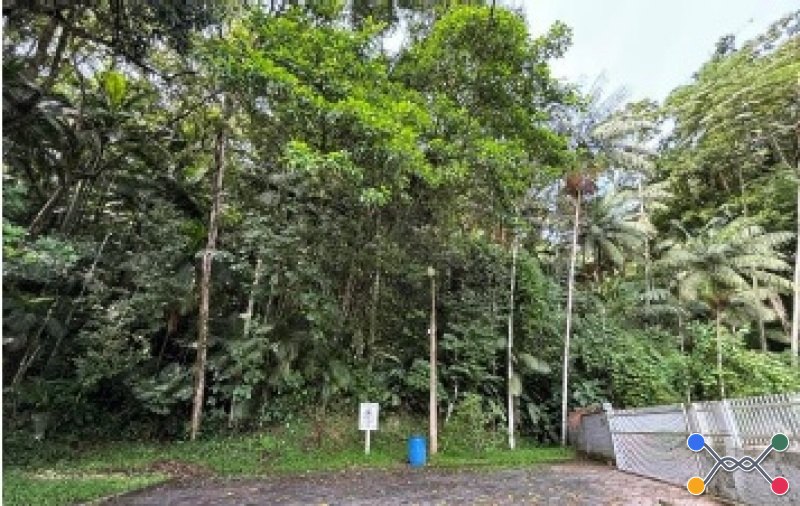 Terreno - bairro velha - blumenau/sc - 40.750,0m²