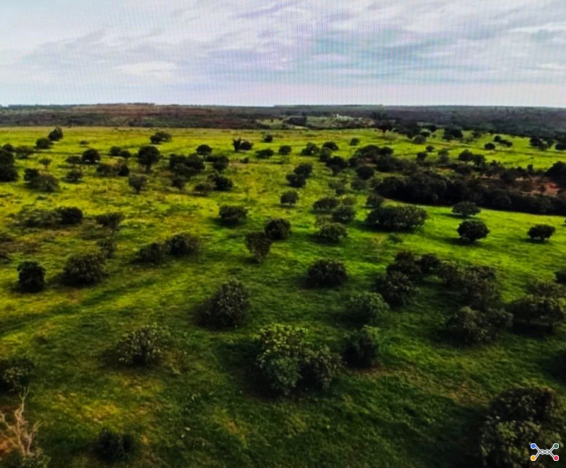 30,70 hectares de imóvel rural em patos de minas/mg, georreferenciada