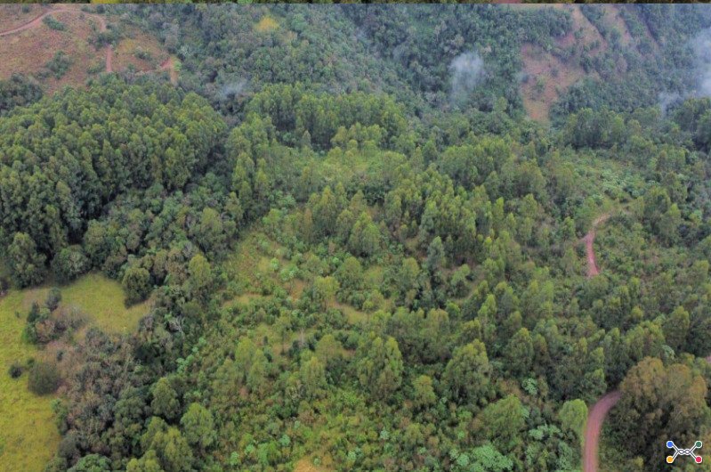 Parte de uma área de terras de cultura e matos, com a área de 12,6243ha (126.243,00m²) e perímetro de 1.692,050m, localizado na linha rodeio do herval, s/n., interior, distrito de marechal bormann, em chapecó/sc