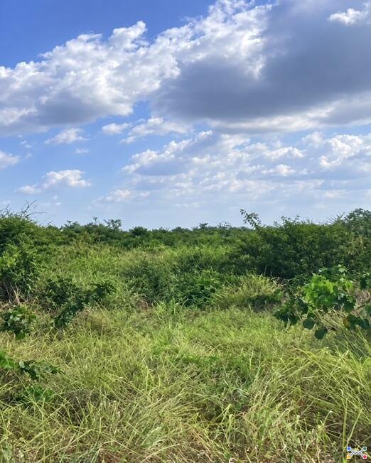 Bela vista do maranhão-ma. área rural c/ 56.4029ha, denominada fazenda rangel,