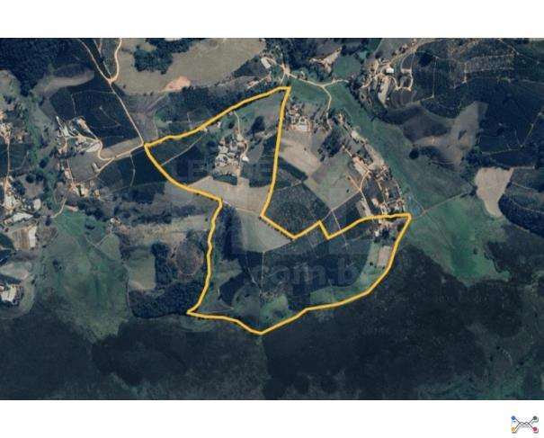 Patrocínio/mg - imóvel rural área 161,70,00 ha na fazenda recanto. fazenda em leilão | mgl leilões