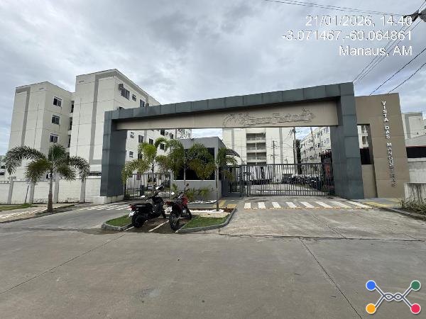 Vista das mangueiras