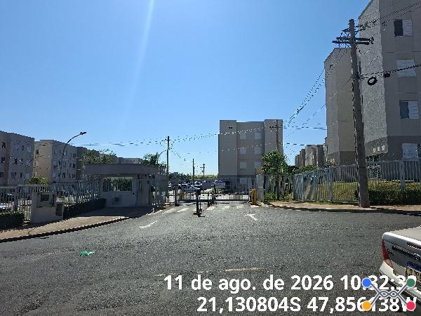 Conquista macaúba