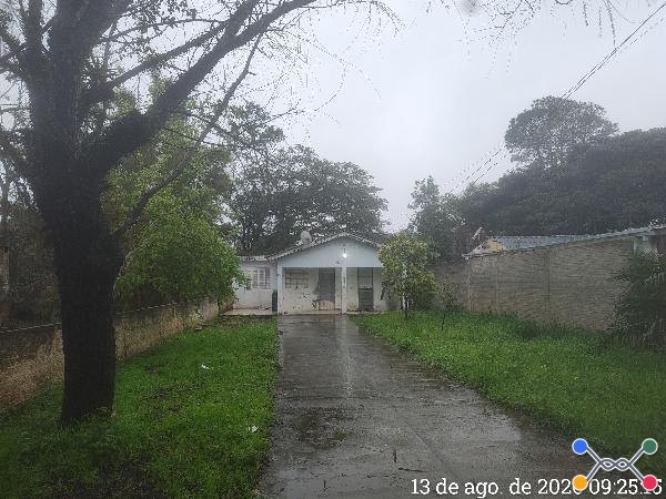 Porto alegre - lami