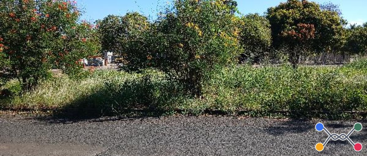 TERRENO DE LEILÃO DA CAIXA, NO BAIRRO KARFAN, NA CIDADE ITUMBIARA, NO ESTADO GO