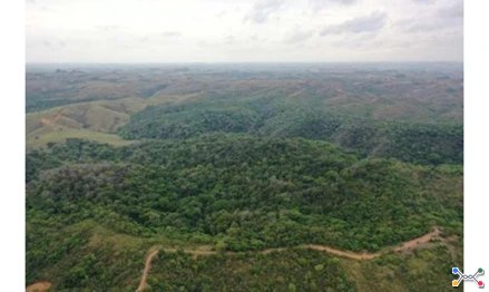 Fazendas em Leilão em Bambuí / MG - 3048694