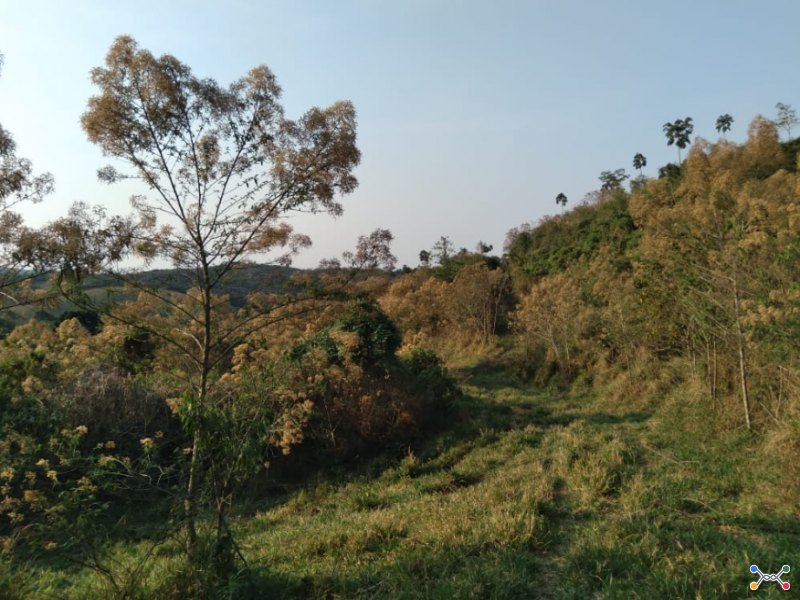 Chácara/Sítio, Rural, Zona Rural - Carmo de Minas/MG