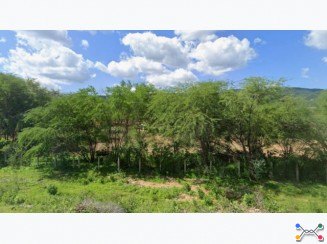 Fazenda A.T. 1.007 ha - Areia De Baraúnas/PB