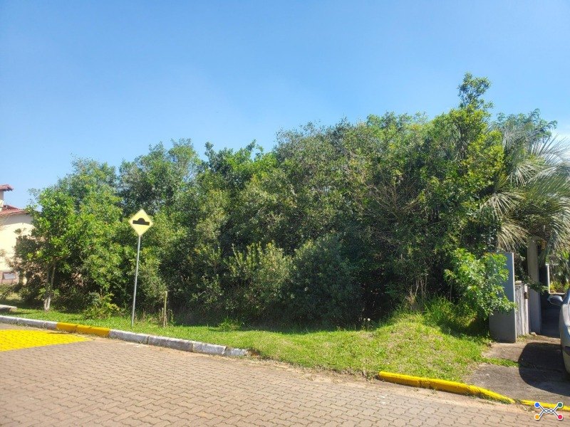 Lote 001