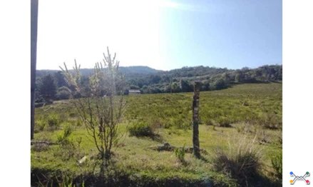 Terrenos em Leilão em Campo Largo / PR - 3072684