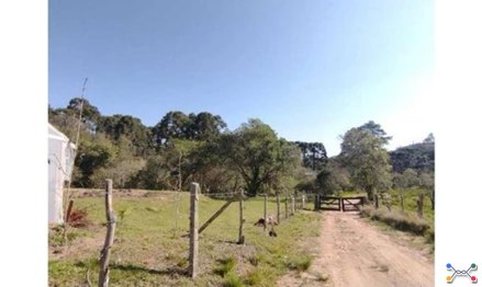 Terrenos em Leilão em Campo Largo / PR - 3072682