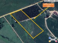 Chácara c/ 4 hectares - dentro de área maior - Capané