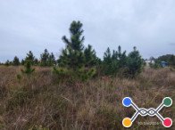 Terreno c/ 300,00m² - Praia Real