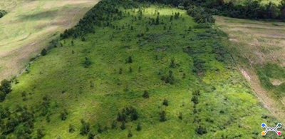 IMÓVEL RURAL COM ÁREA TOTAL DE 5.00 alqueires, EM JANIÓPOLIS/PR