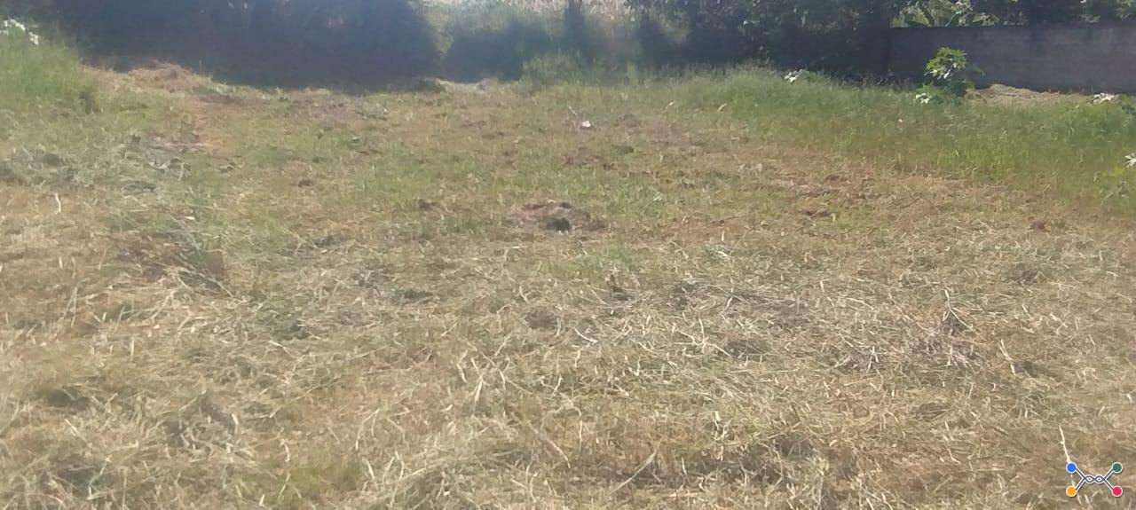 IMÓVEL URBANO COM ÁREA TOTAL DE 315,25M2 EM MARILUZ-PR