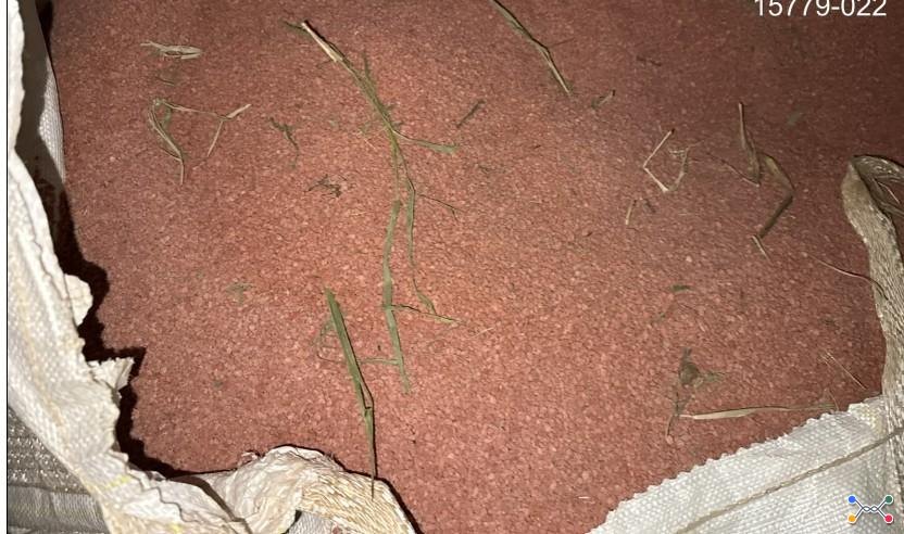 SINISTRO: 0154763372 – 19.000,00 KG FERTILIZANTE CLORETO DE POTÁSSIO GR (00-00-60) – SUJIDADE DE MATO E TERRA - OBS: SERÁ FORNECIDO APENAS AUTORIZAÇÃO