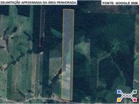 Sítio com 81,49 hectares - Vale do Anari/RO