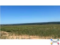 Fazenda c/ 1.081,40 ha - Buriticupu/MA