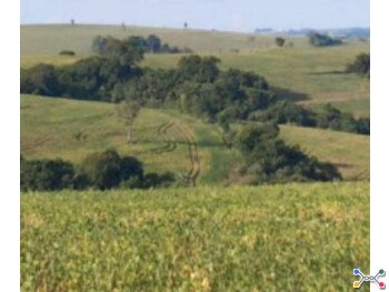 Terreno - Itaporanga / SP - Zona Rural Sítio São Francisco, s/nº