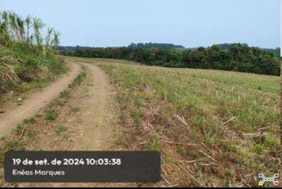Imóvel Rural com área de 55,6ha, com benfeitorias não reprodutivas. Localizado no Município de Enéas Marques/PR.