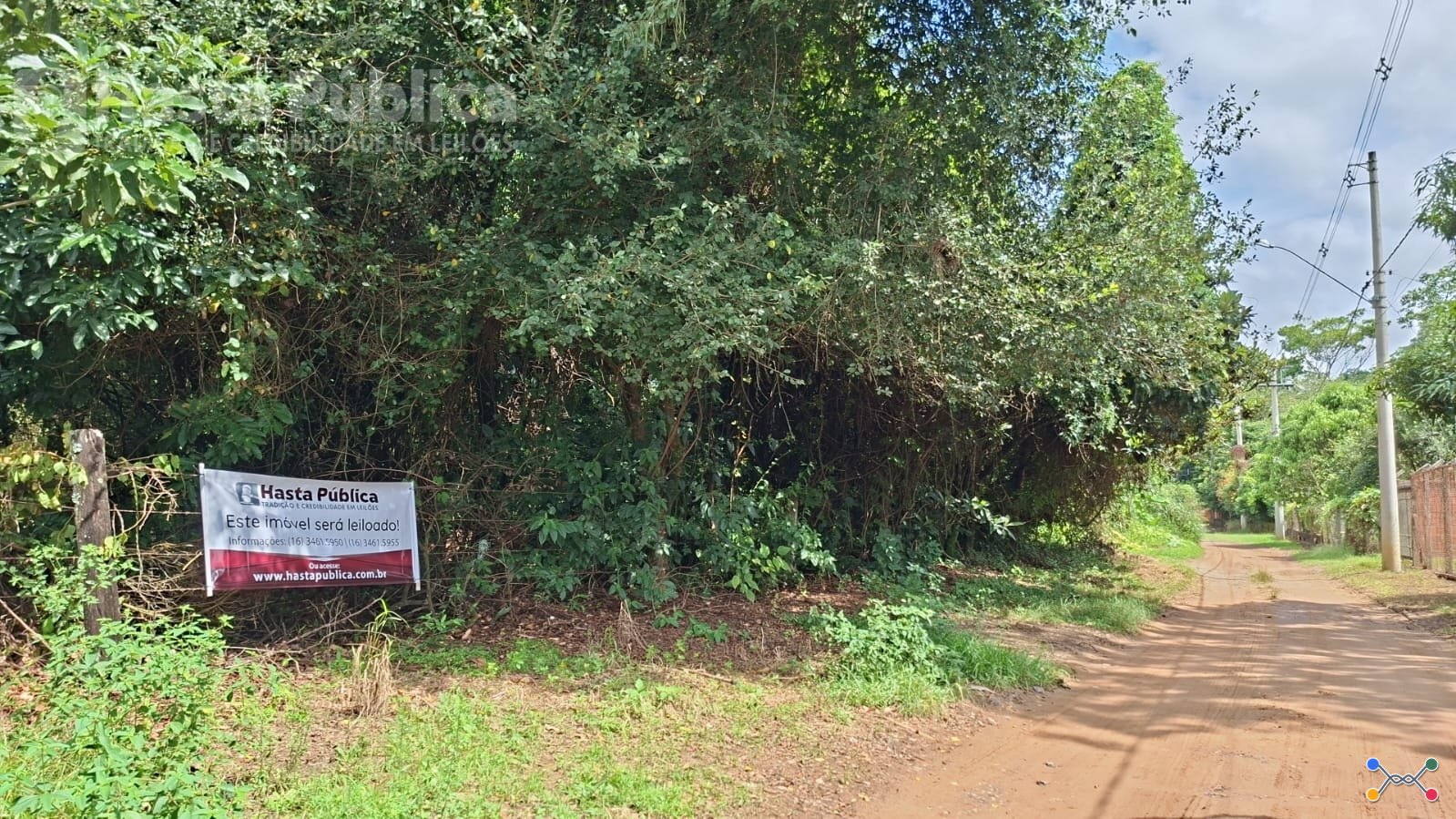 Área de terras com 1 Alqueire Paulista em Porto FerreiraSP
