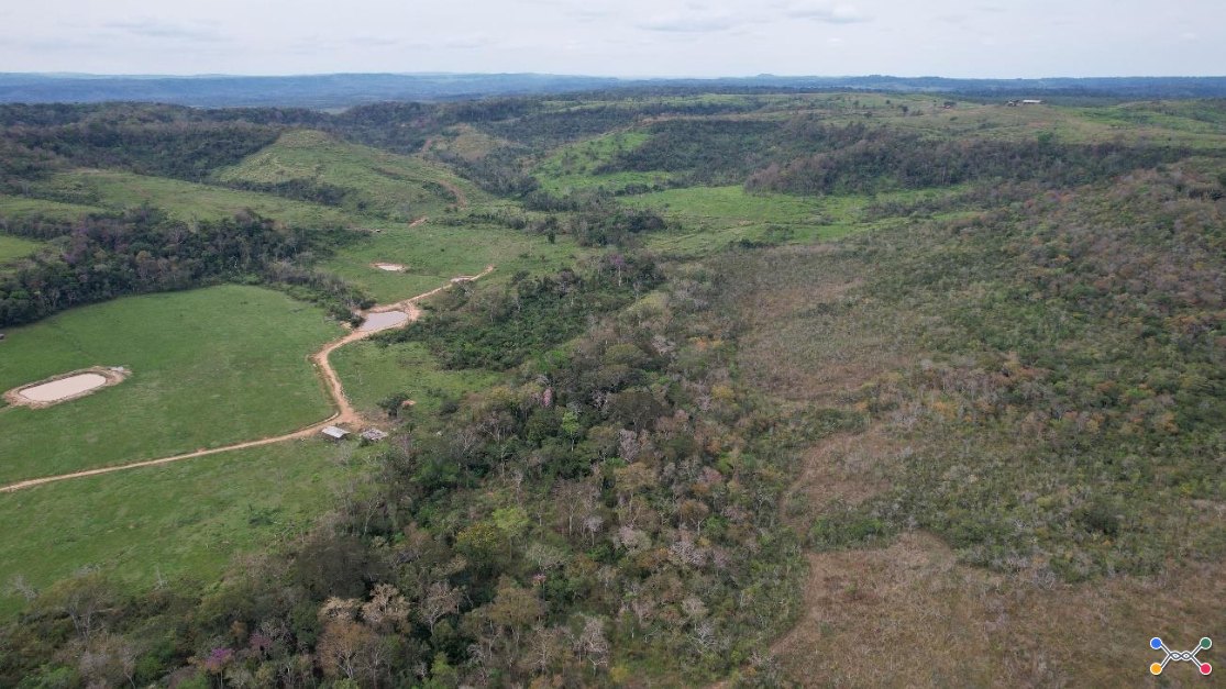 Lote 14: área rural com 68,826900 ha - setor rio branco alta floresta d'oeste ro