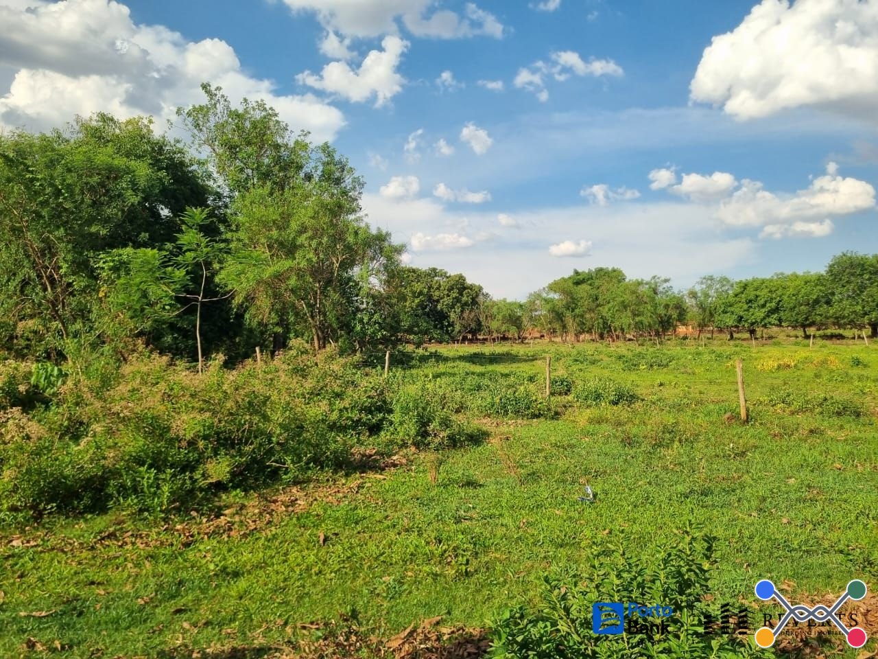 Lote 4: terreno com 401,20 m²- setor suleste terreno de número 5 goiânia go