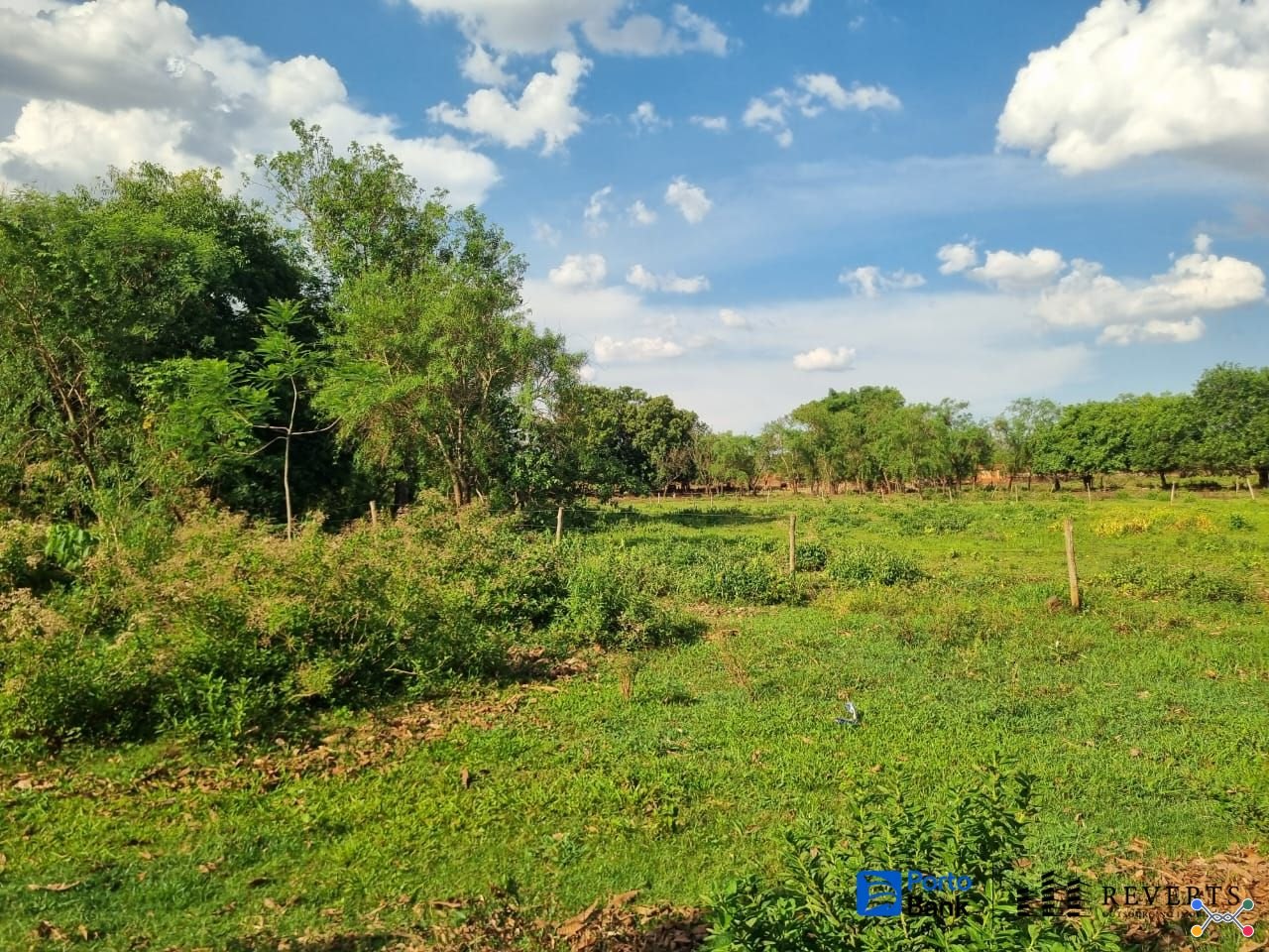 Lote 5: terreno com 401,20 m²- setor suleste terreno de número 6 cachoeira dourada go