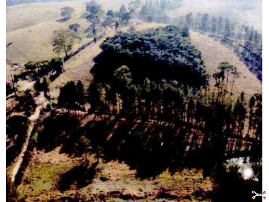 Terreno c/benfeitorias à venda em leilão