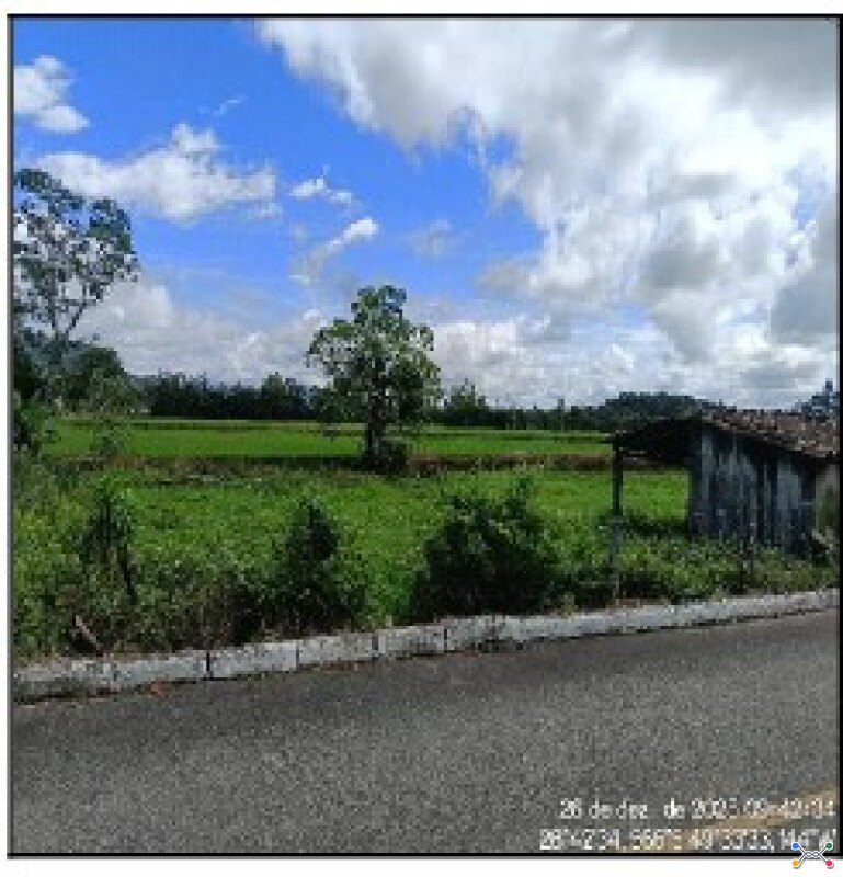 Terreno — nova veneza/sc