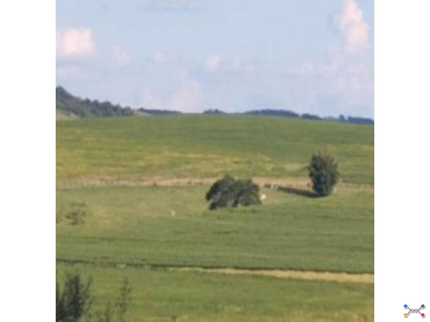 Terrenos à venda em leilão