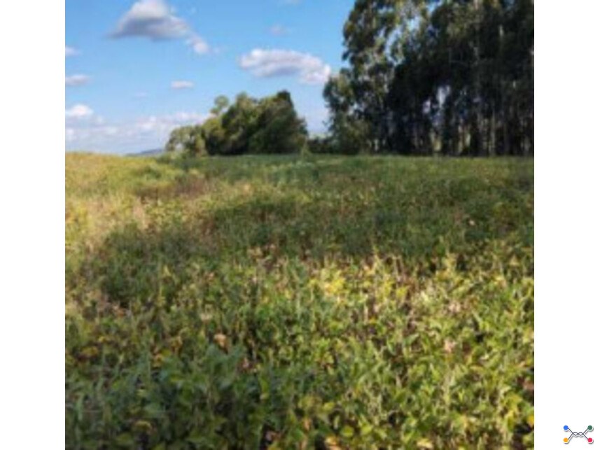 Terreno à venda em leilão