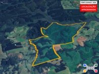 Fazenda - 517ha 9.267,00m² – morrinhos