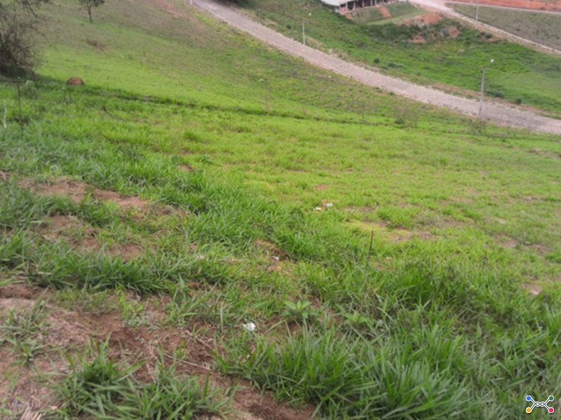 Terreno cambuí mg 33.516