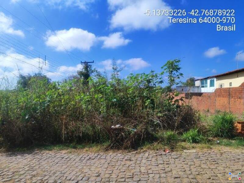 Teresina-pi / bela vista iii