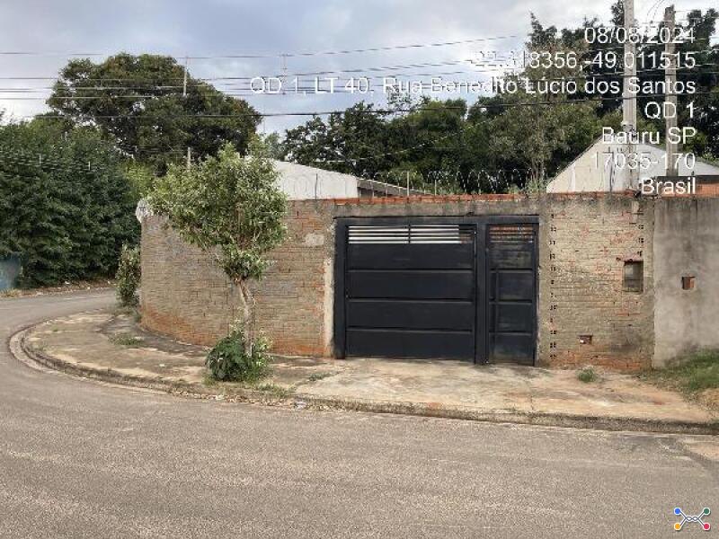 Bauru-sp / lot tangaras