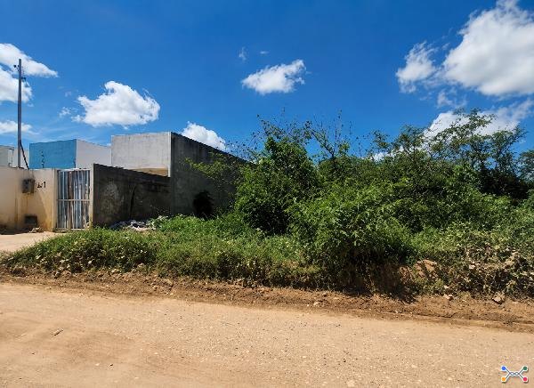 Nossa senhora do socorro - guajara