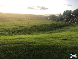 Terreno 1.400 m² (Lt. 35 - Qd. 15) - Residencial Ecovillas do Lago - Sertanópolis - PR