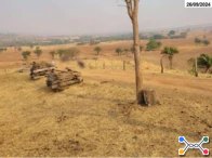 Fazenda com 149,48 hectares - Santa Fé de Goiás/GO