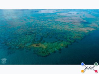 Terreno A.T. 22 ha - Abrolhos, Caravelas/BA