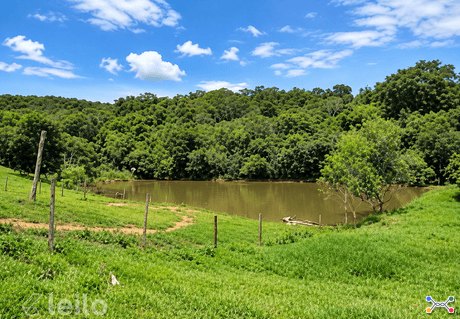 Bonfinópolis/GO - Fazenda com 5,98 alqueires